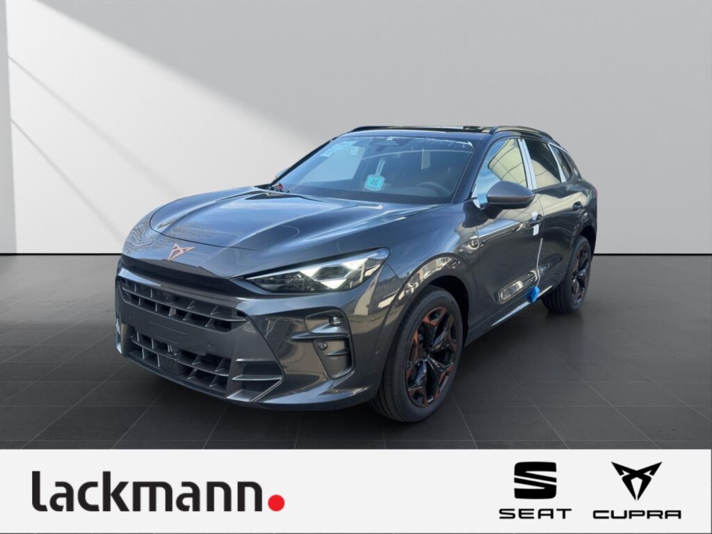 Cupra Terramar Exposé-Bild 1