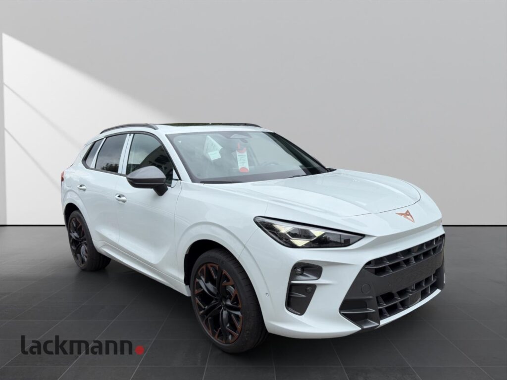 Cupra Terramar Exposé-Bild 3