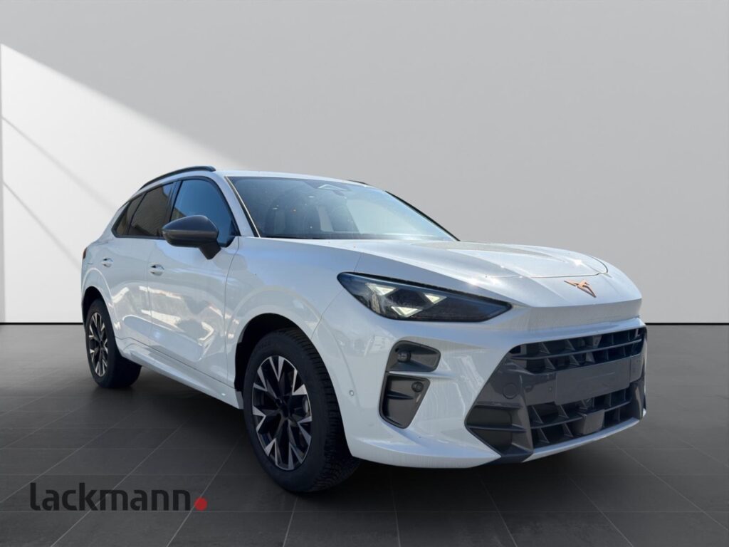 Cupra Terramar Exposé-Bild 3