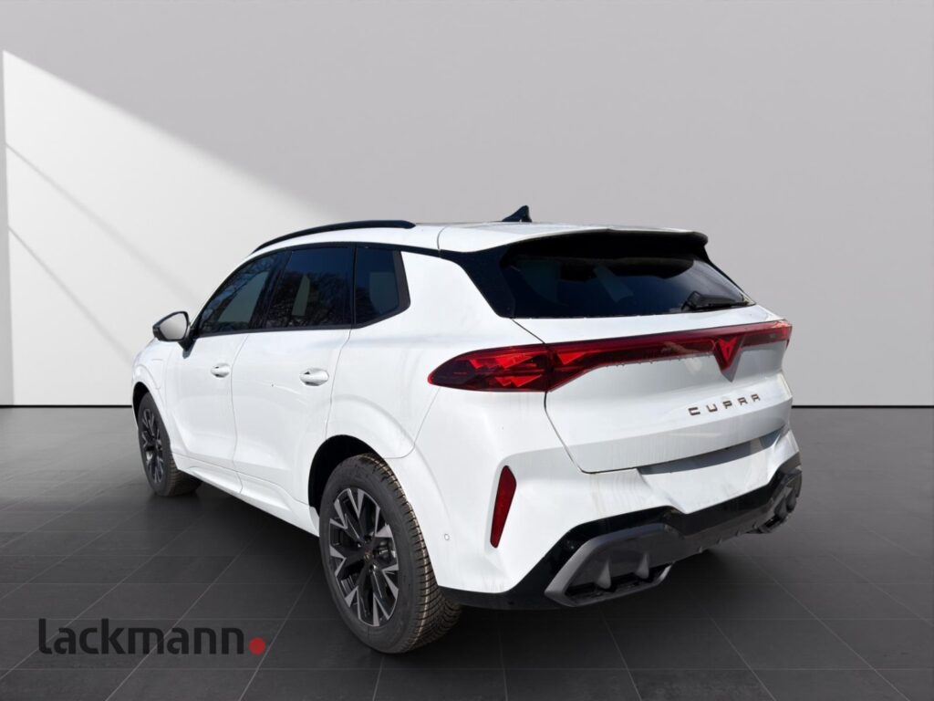 Cupra Terramar Exposé-Bild 6