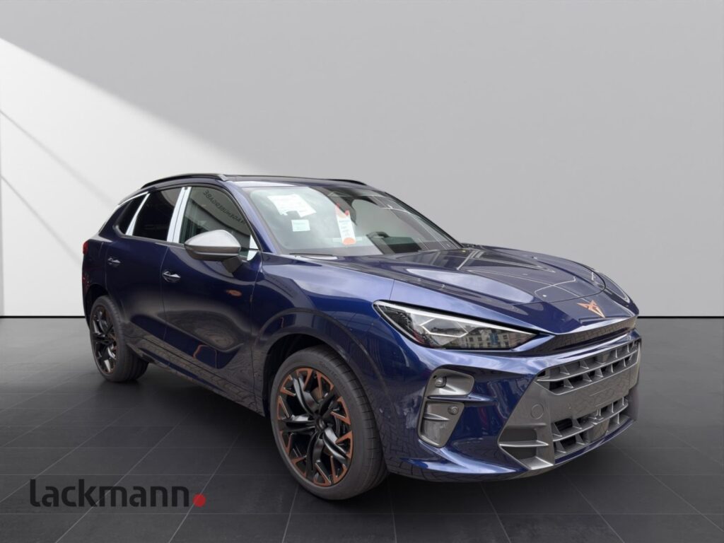 Cupra Terramar Exposé-Bild 3