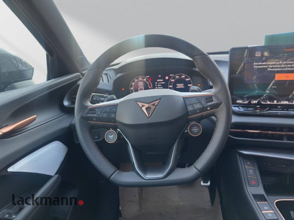 Cupra Terramar Exposé-Bild 14