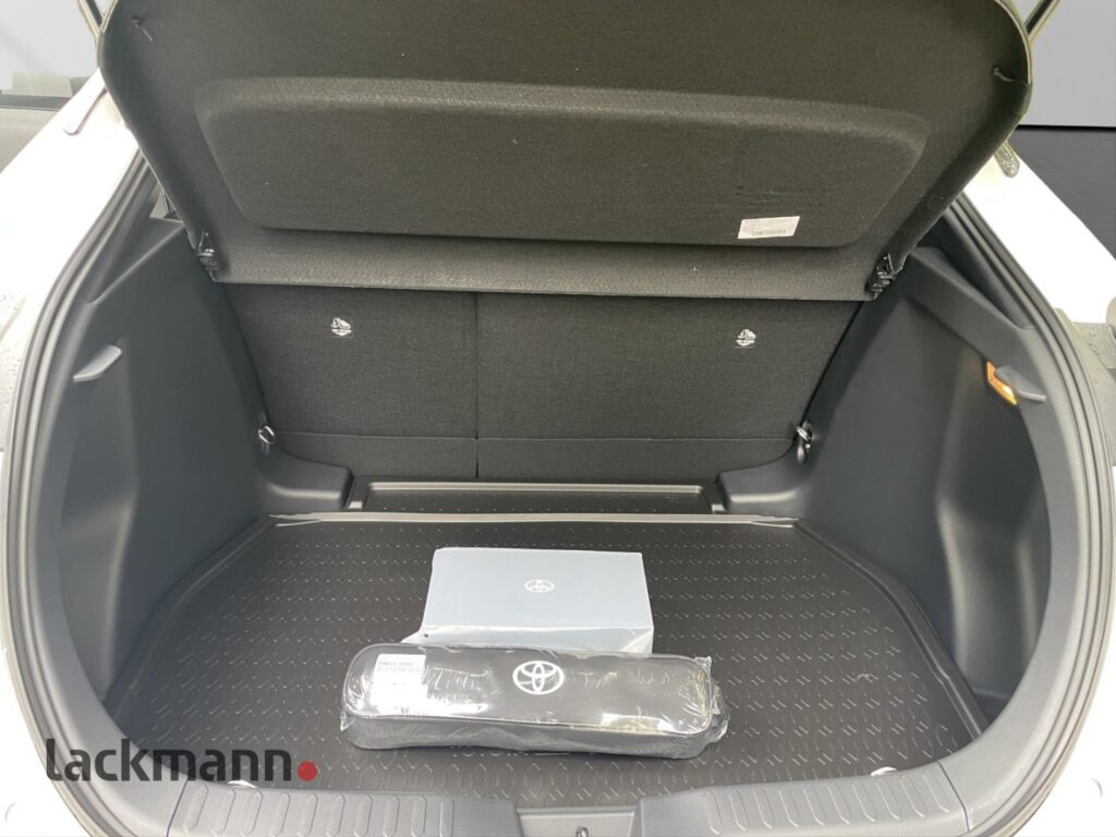 Toyota C-HR Exposé-Bild 12