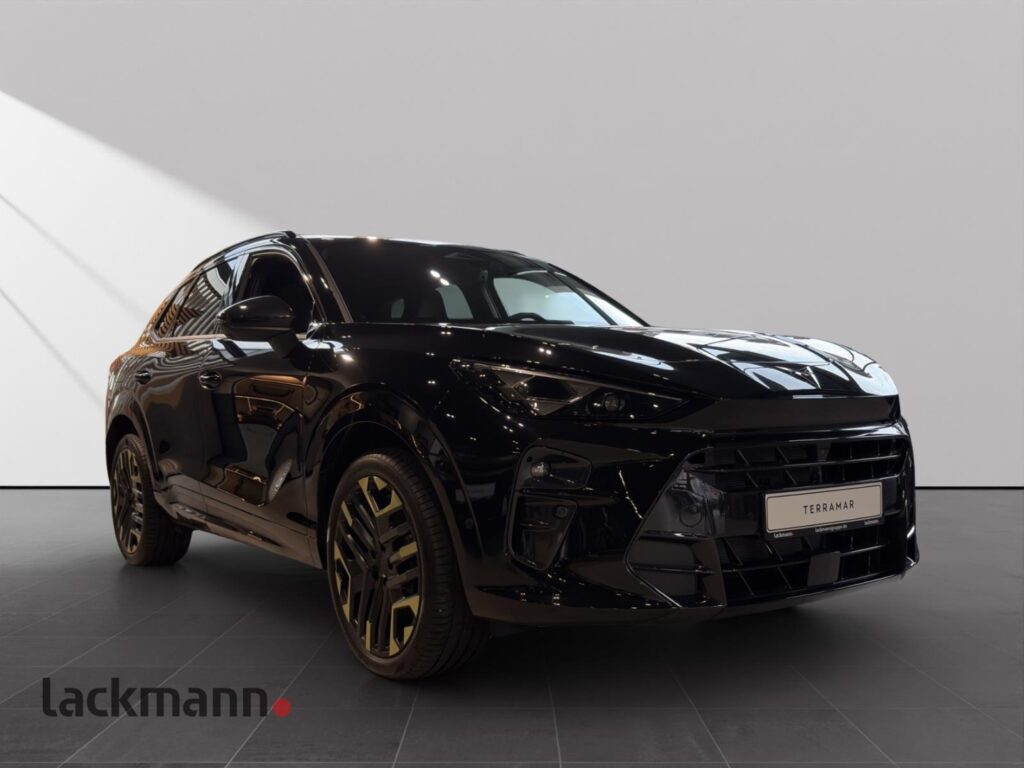 Cupra Terramar Exposé-Bild 3